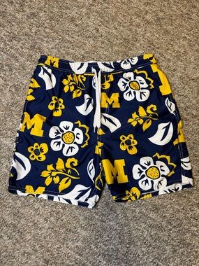 University of Michigan Wes and Willy shorts